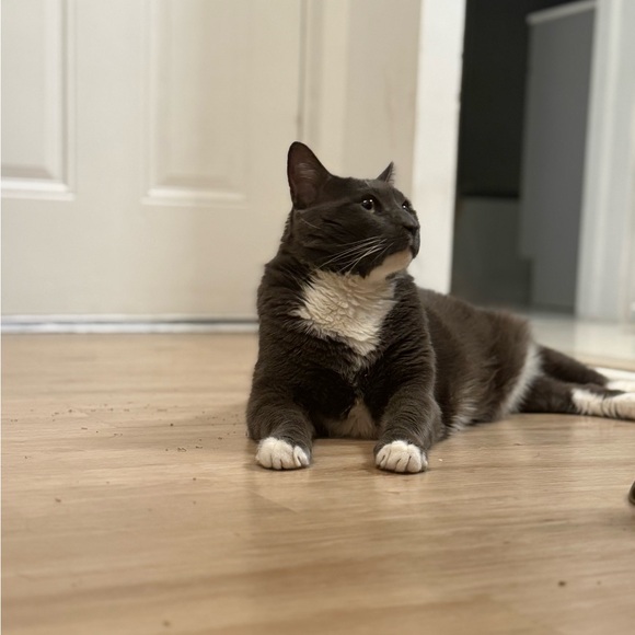 **ShesDicey going Live!!** Live Show Notification Listing - Picture 9 of 16